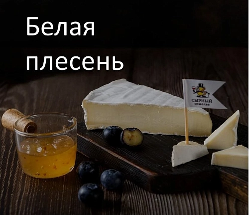 Сыры с белой плесенью